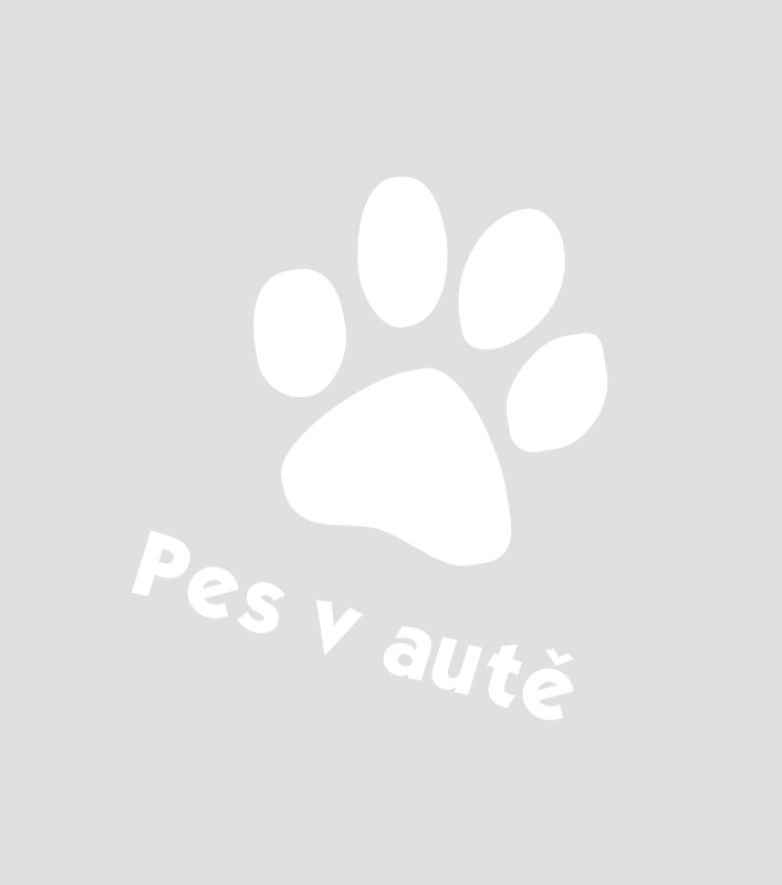 Samolepky na auto - Pes v autě